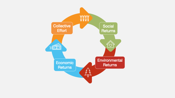 Io Energy - Cycle